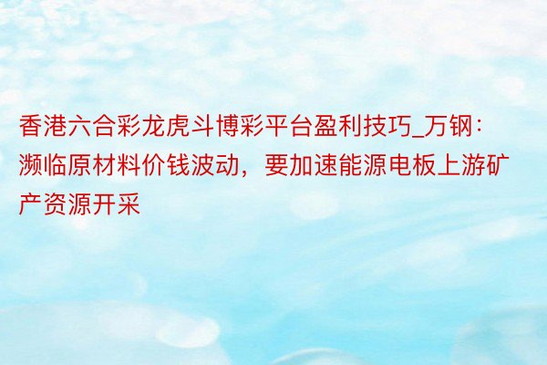 香港六合彩龙虎斗博彩平台盈利技巧_万钢：濒临原材料价钱波动，要加速能源电板上游矿产资源开采